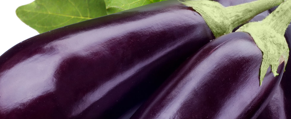 Aubergine