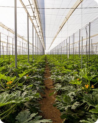 Hnos Escobar Reyes S.L.